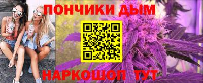 гидра Заводоуковск