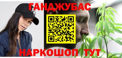 гидра Заводоуковск