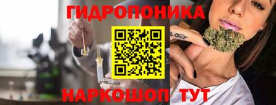 гидра Заводоуковск