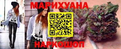 гидра Заводоуковск