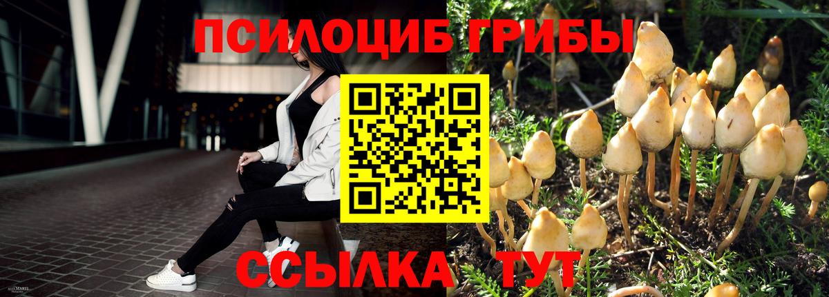 Майкоп  Галлюциногенные грибы MAGIC MUSHROOMS  Вход с VPN 